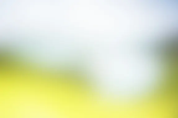 PocketWin Kazino Atbalsts